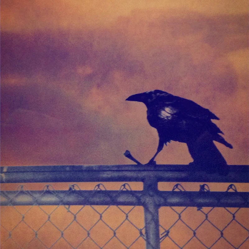 alternative-processes-feb-2108-images6.jpg