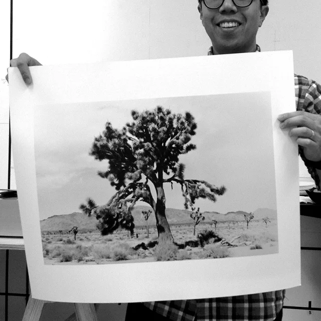 Large Format Film Photography / October