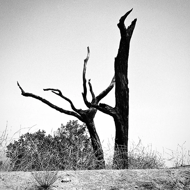 course-image192.jpg