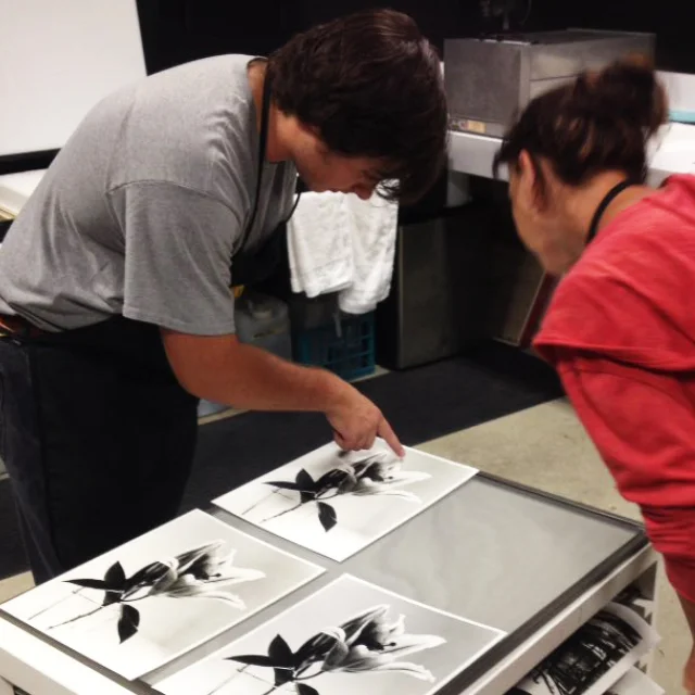course-image203.jpg