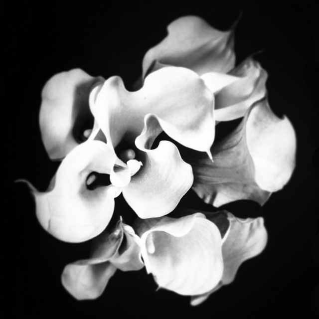 course-image210.jpg