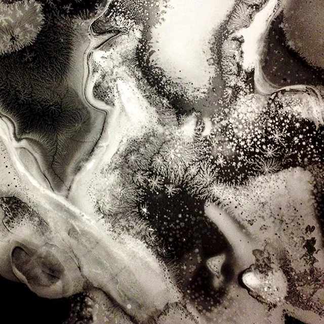 Darkroom Dynamics / February