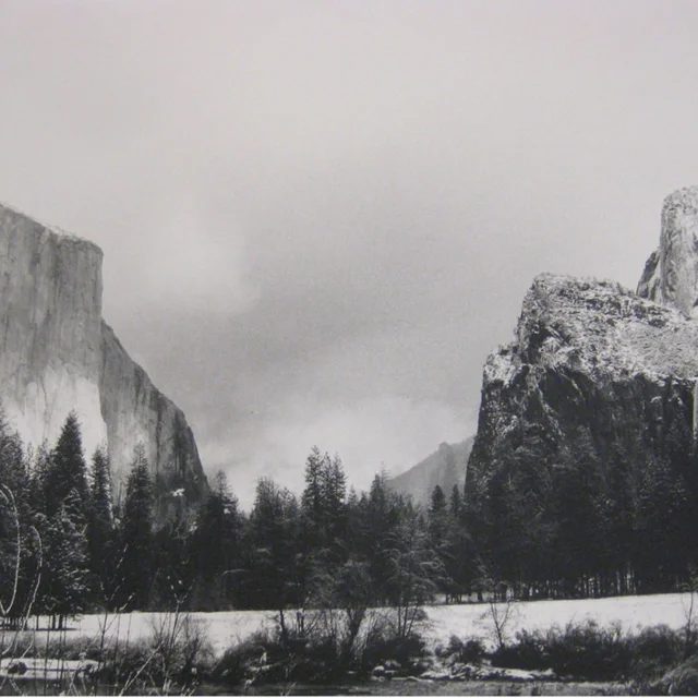 Mural Printing / Weekend Workshop / February 23 &amp; 24