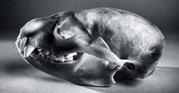 cover-image-large-format-april-2019.jpg