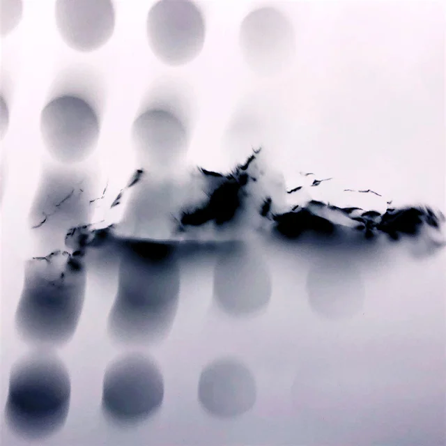 course-image_dynamic_003.jpg