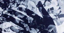cover-image-advanced-darkroom-june-2019.jpg
