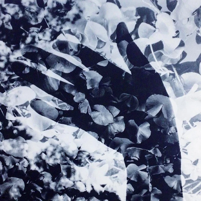 Advanced Darkroom / June