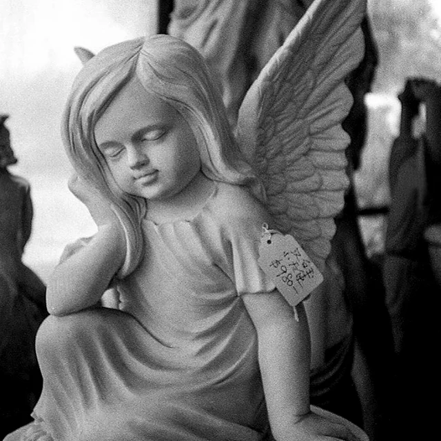 course-image_angel.jpg