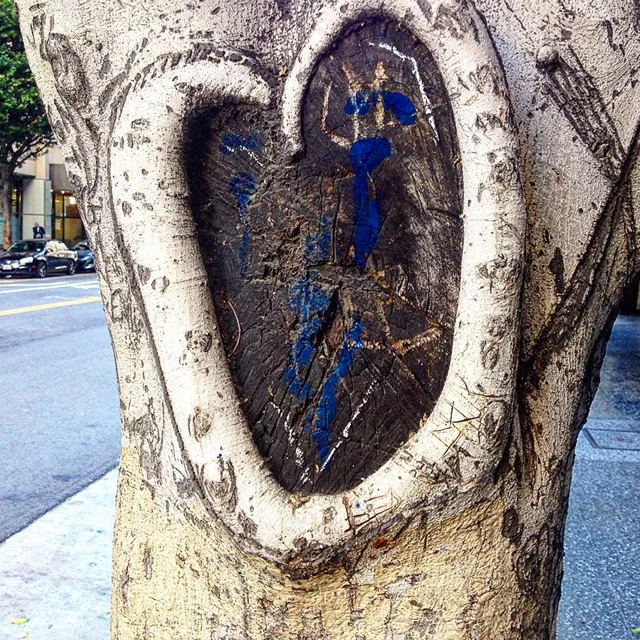 course-image_tree-heart.jpg