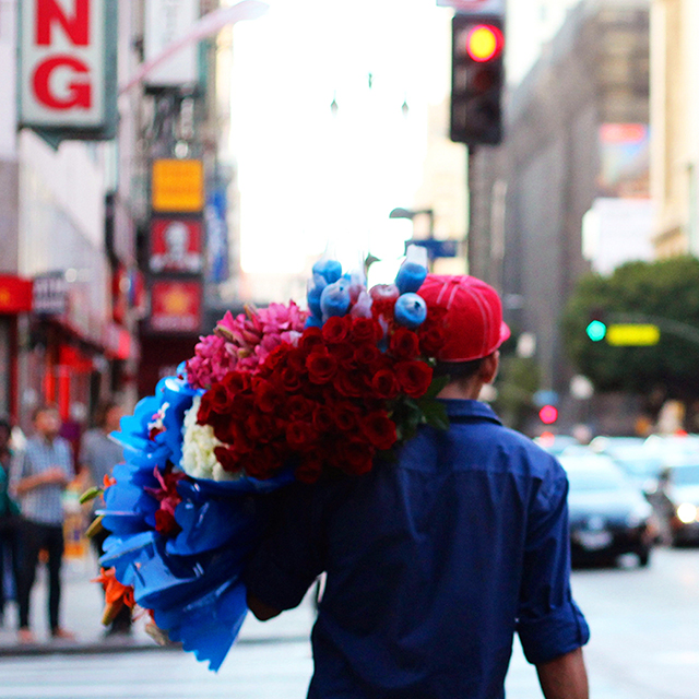 course-image_snapshot-flowers.jpg