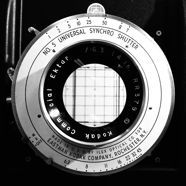 Large Format Film Photography / August