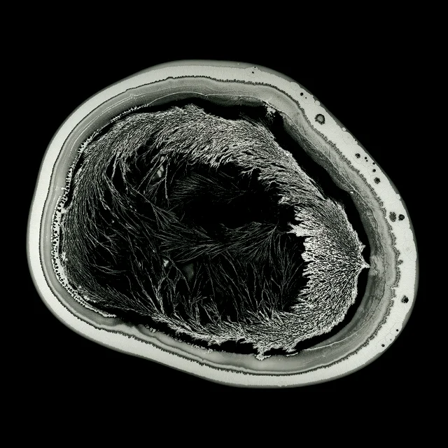 course-image_crystalograms-sm.jpg
