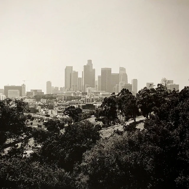 course-image_dtla.jpg