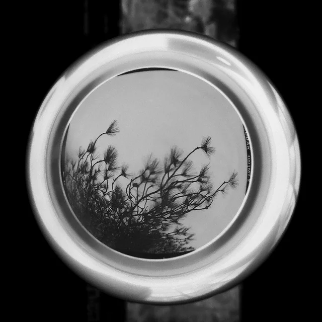 course-image_plants.jpg