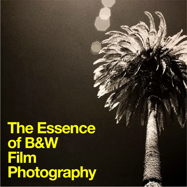 Film Fundamentals: The Essence of Black and White Film Photography / October
