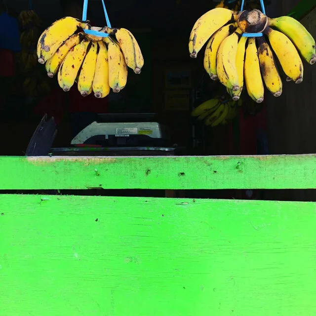 course-image_bananas.jpg