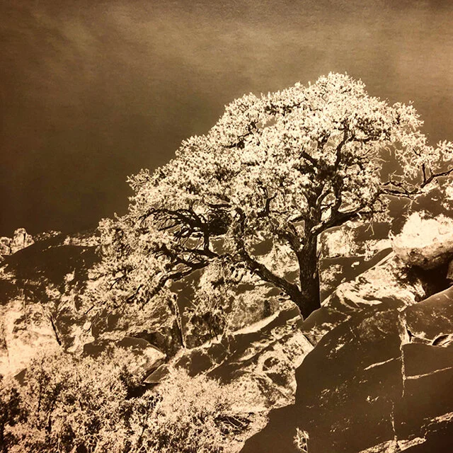 20/20 Visions Series / One Day Workshop / February 1, 2020 / Sabatier Effect