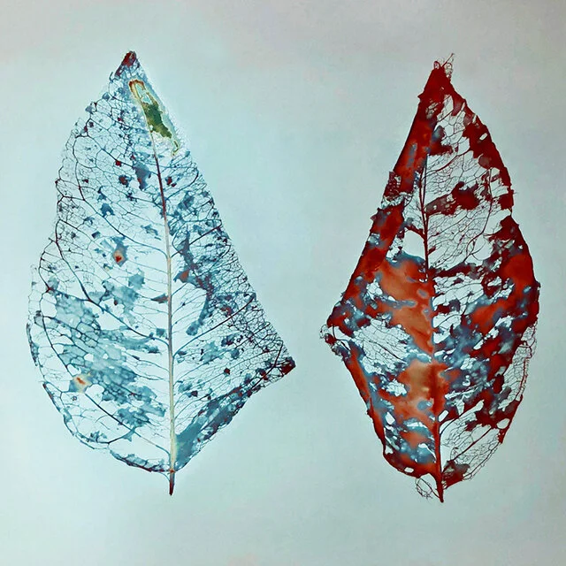 course-image_lumen-printing-july-2020-4.jpg