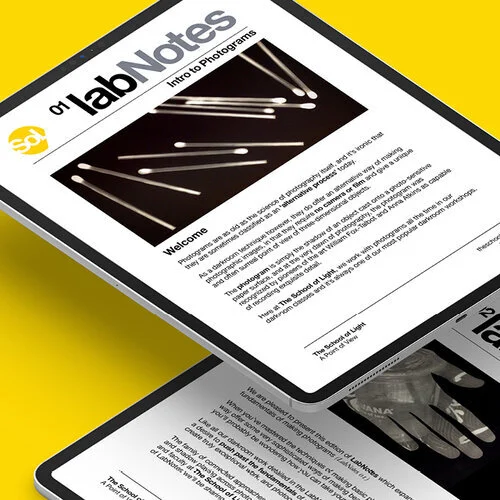 labNotes_thumb-1.jpg