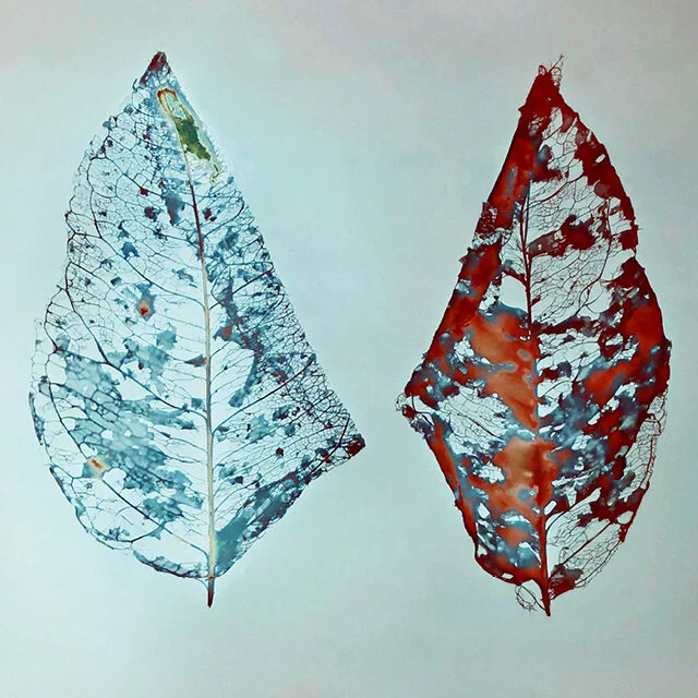 course-image_lumen-printing_oct-2020-5.jpg