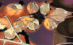 cover-image_cyanolumens-dec-2020.jpg