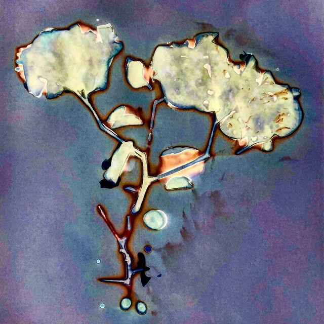 course-image_cyanolumens-dec-2020-4.jpg