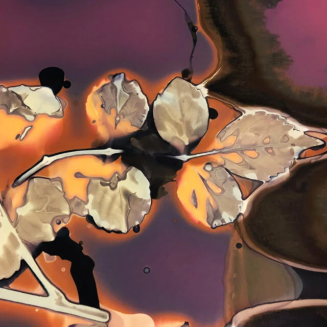 CyanoLumens / December / Online Class / EST &amp; GMT