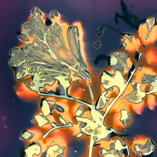 course-image_cyanolumens-feb-2021-3.jpg