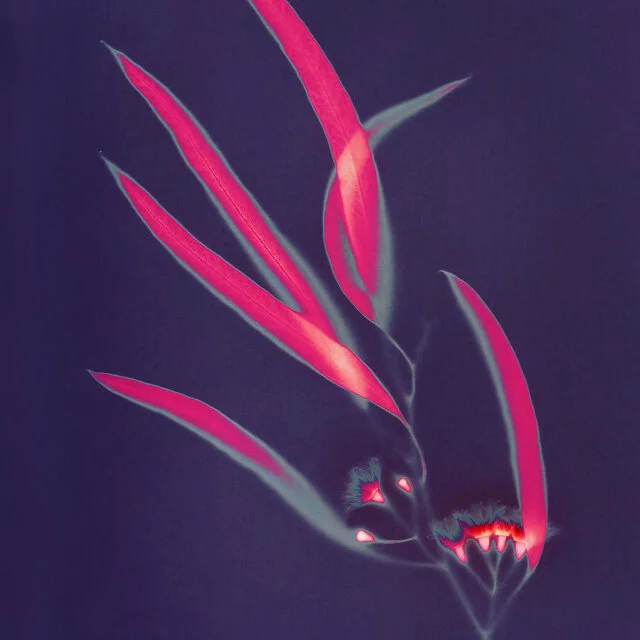 course-image_lumen-printing-march-2021-7.jpg