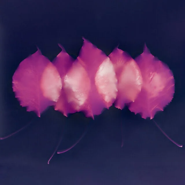 Lumen Printing / March / Online Class / EST &amp; GMT