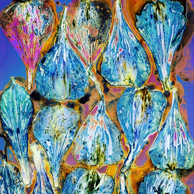 course-image_cyanolumens-feb-2021-14.jpg