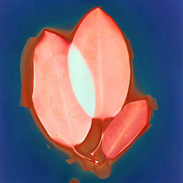 course-image_cyanolumens-feb-2021-13.jpg