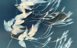 cover-image_cyanolumens-may-2021.jpg