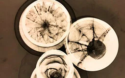 cover-image_photograms-may-2021.jpg