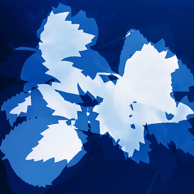 course-image_cyanotypes-april-2021-9.jpg