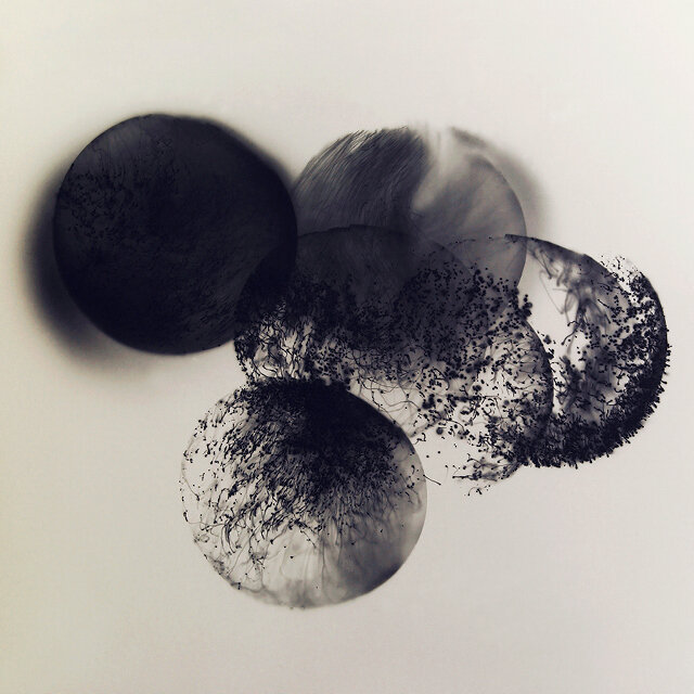 course-image_photograms-may-2021-6.jpg