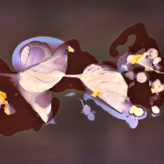 Liquid Lumens / April / Online Classes