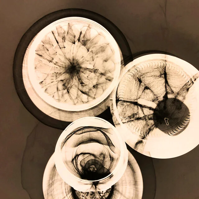 Photograms / May / Online Classes