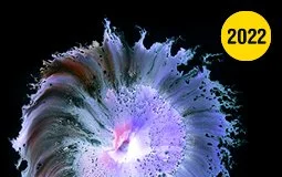 cover-image_waves-of-color-feb-2022.jpg