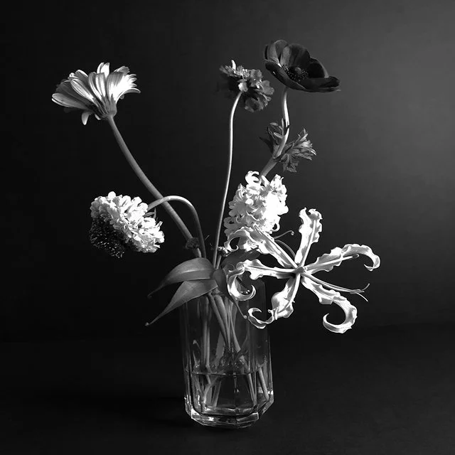 course-image_film-forever_jan-2022-5.jpg