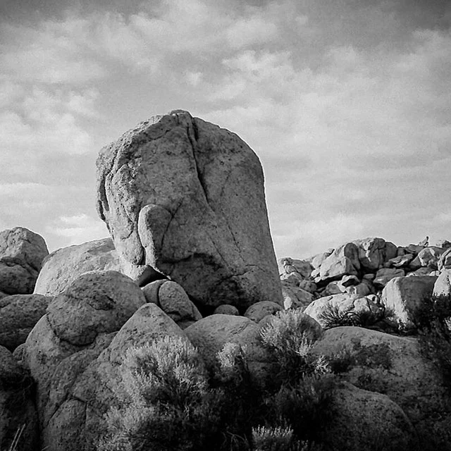 Film Forever / January 2022