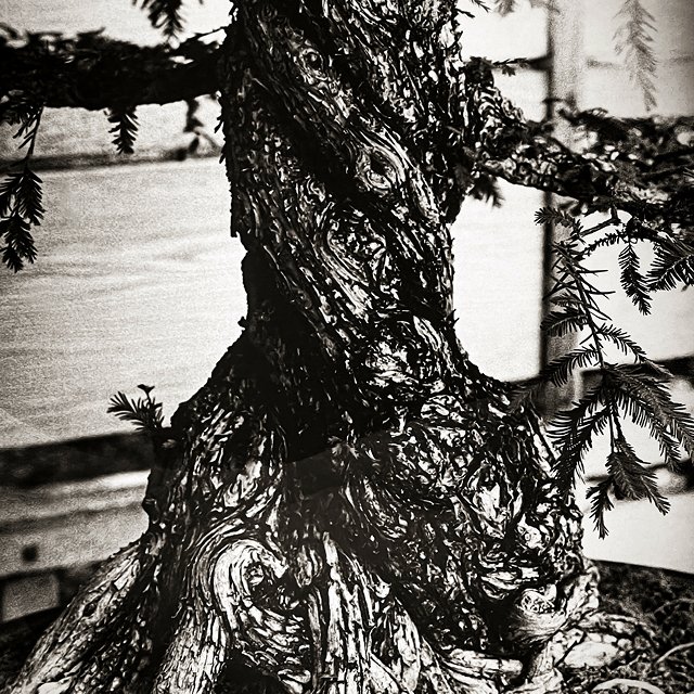 course-image_film-forever_feb-2022-2.jpg