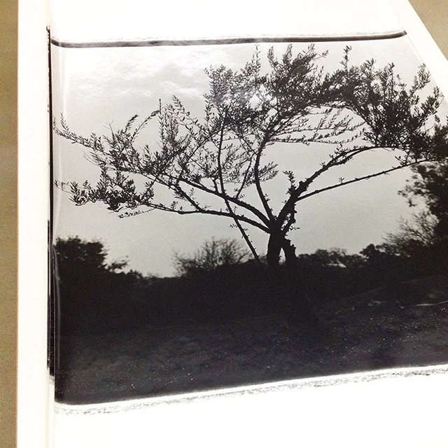 course-image_advanced-darkroom-april-2022-8.jpg