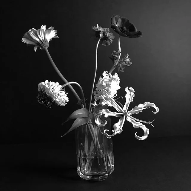course-image_into-the-dark-workshops-2022-4.jpg