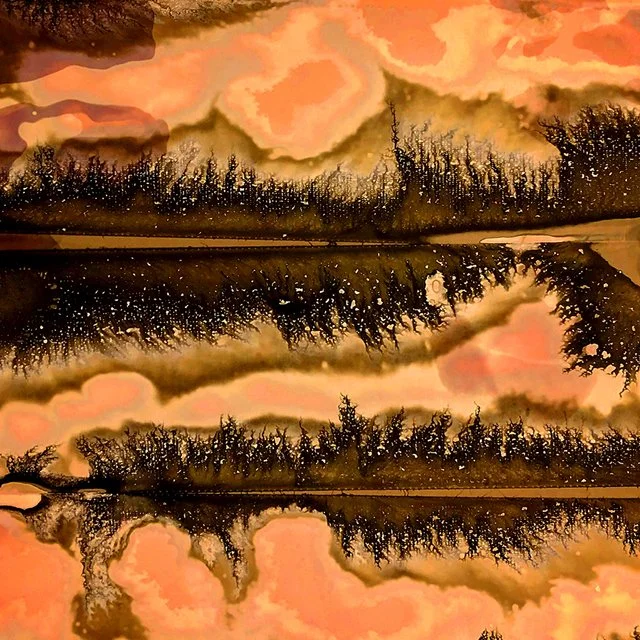 Darkroom Dynamics / Weekend Workshop