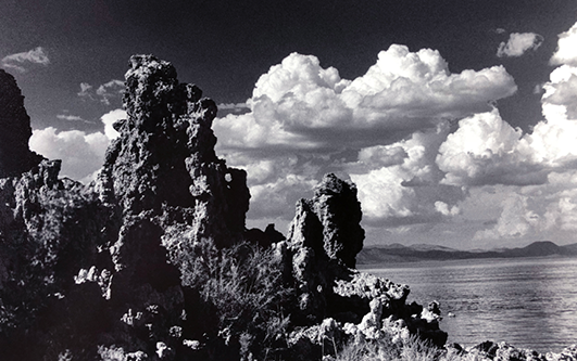 cover-image_film-forever-april-2022-6.png