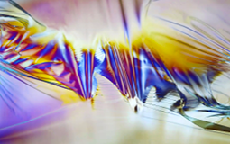cover-image_plastigrams-june-2022.png