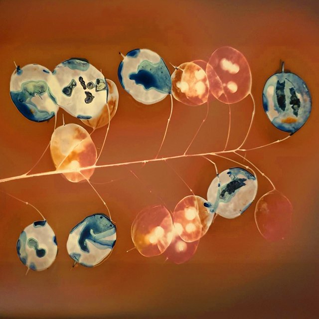 Liquid Lumens / July / Online Class