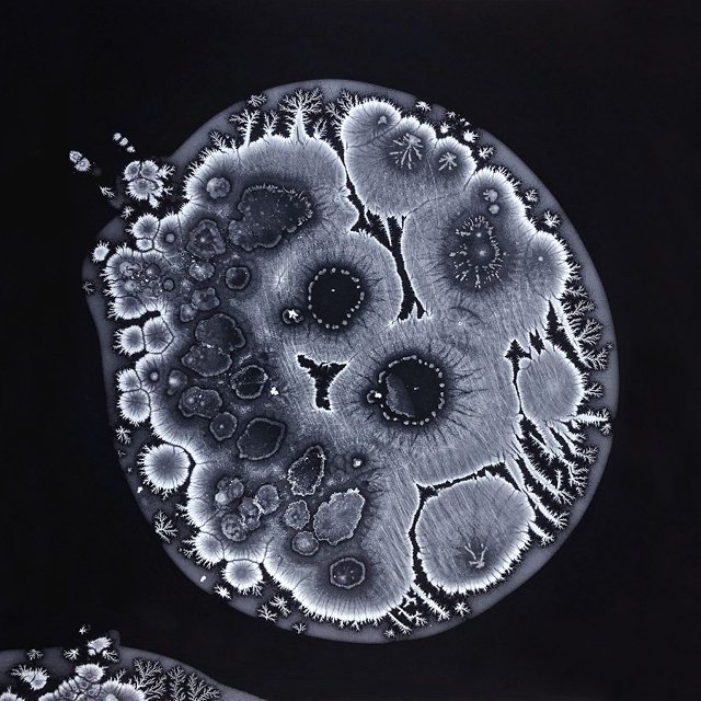 course-image_darkroom-dynamics_nov-2022-1.jpg