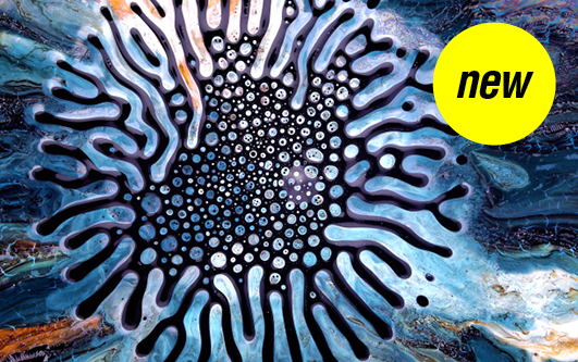 cover-image_magnetic-liquid-oct-2022.png
